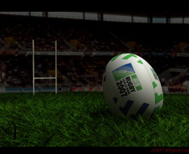 Rugby Grass