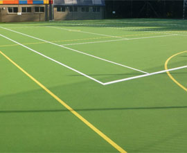 Multipurpose Grass