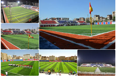 Soccer Grass