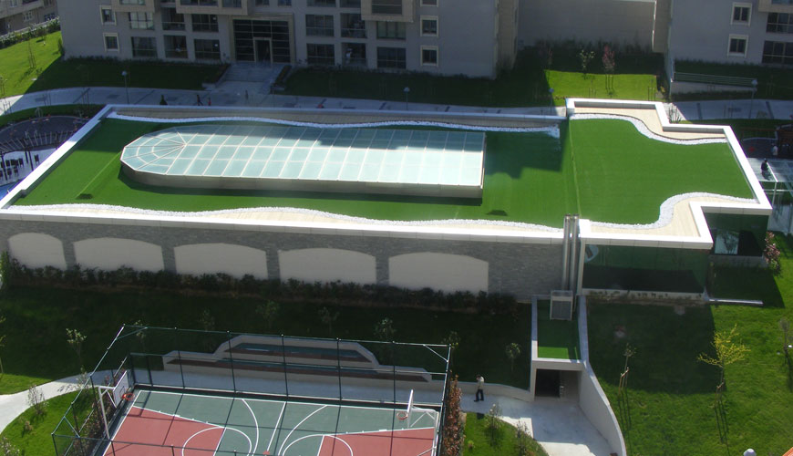 Terrace Grass
